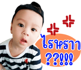 239439609