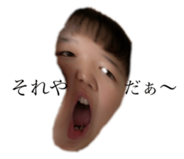 239452081