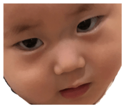 239518585