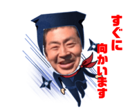 239549259