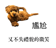 239554740