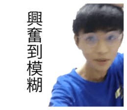 239555980