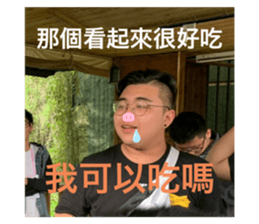 239566706