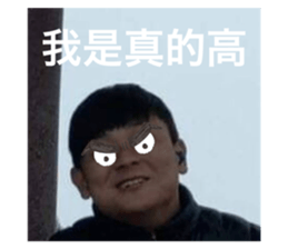 239566715