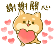 暖心 豆柴 日和 花花仔的line貼圖 全館限時降五元儲值滿300送30