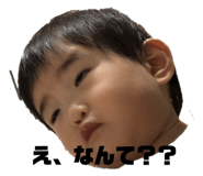 239596577