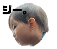 239596580