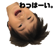 239596586