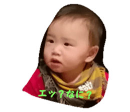 23962560