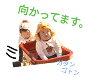 23964777