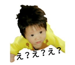 23965551