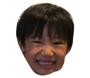239693919
