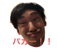 239693921