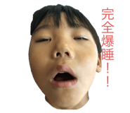239693925