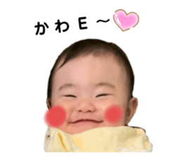 239695734
