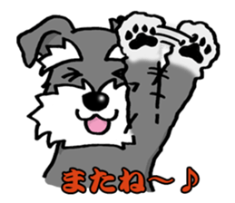 2397423