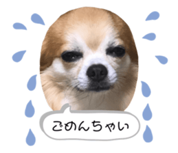 239751272