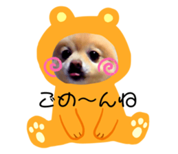 239755042
