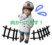23976494