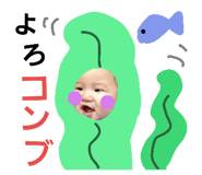 23979216