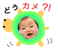 23979223