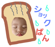 23979228