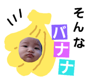 23979247