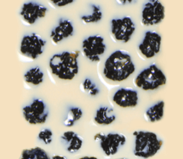239830316
