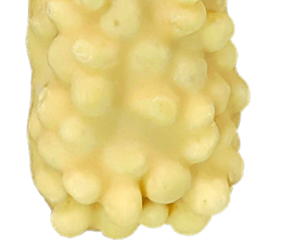 239894162