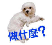 239911624