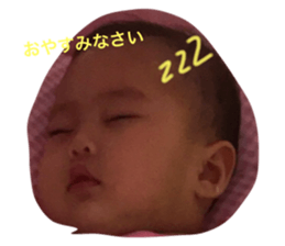 24004455
