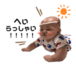 240058156