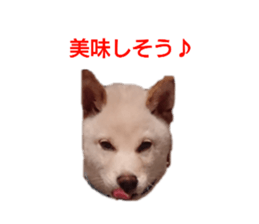 240058159