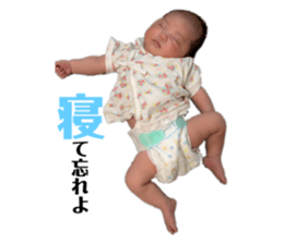 240061422