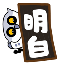 240063123