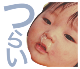24007313