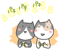 240166