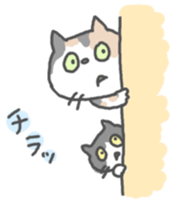 240168