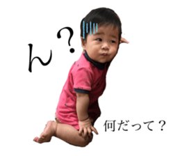 240174377