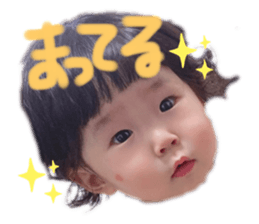 240175316