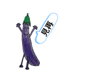 240177322