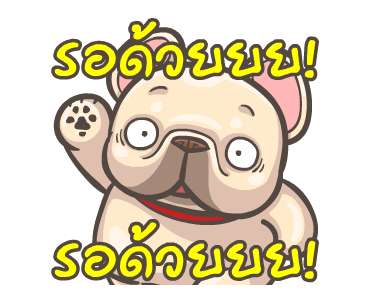 พิกุ - เฟรนช์ บูลด็อก 10 รูปที่ 9