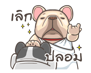 พิกุ - เฟรนช์ บูลด็อก 10 รูปที่ 15
