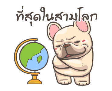 พิกุ - เฟรนช์ บูลด็อก 10 รูปที่ 17