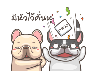 พิกุ - เฟรนช์ บูลด็อก 10 รูปที่ 19