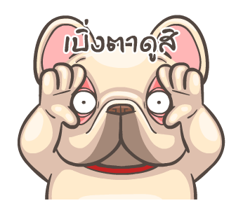 พิกุ - เฟรนช์ บูลด็อก 10 รูปที่ 20