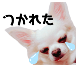 240222416