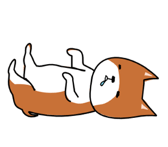 2402417