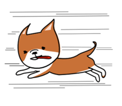2402431