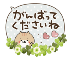 240302701
